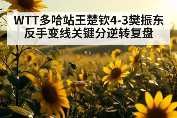 WTT多哈站王楚钦4-3樊振东反手变线关键分逆转复盘