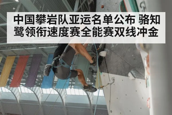 speed climbing competition